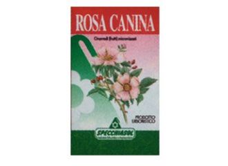 Rosa canina 75 cps specch.