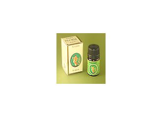 Alloro olio ess bio 5ml flora