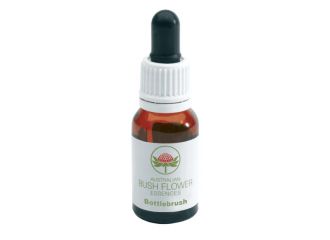 Bottle brush australian 15ml