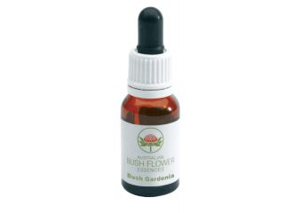 Bush gardenia gtt 15ml