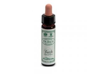 Ainsworths beech 10ml