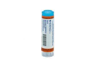 Arnica montana*200ch gr 4g