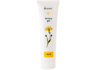 Arnica gel 100ml