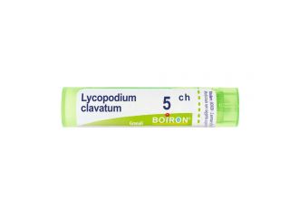 Lycopodium clavatum*5ch 80gr