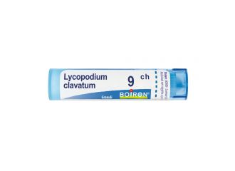 Lycopodium clavatum*9ch 80gr