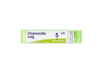 Chamomilla vulgaris*5ch 80gr