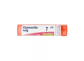 Chamomilla vulgaris*7ch 80gr