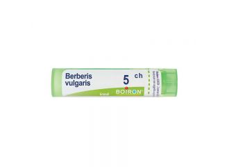 Berberis vulgaris*5ch 80gr 4g