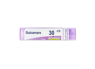 Dulcamara*30ch 80gr 4g