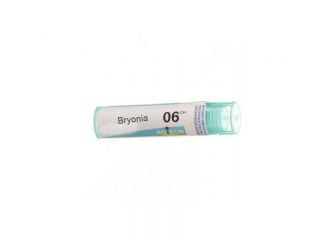 Bryonia*6ch 80gr 4g