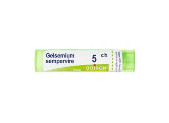 Gelsemium semperv 5ch gr 4g