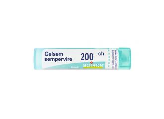 Gelsemium semp*200ch gr 4g