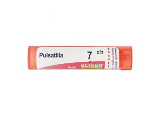 Pulsatilla*7ch 80gr 4g