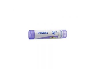 Pulsatilla*30ch 80gr 4g