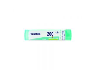 Pulsatilla*200ch 80gr 4g