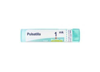 Pulsatilla*1000k 80gr 4g