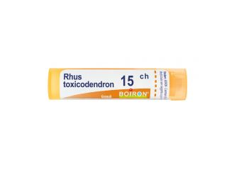 Rhus toxicodendron*15ch 80gr4g