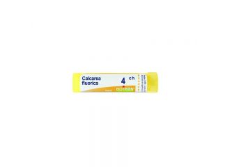 Calcarea fluorica*4ch 80gr 4g