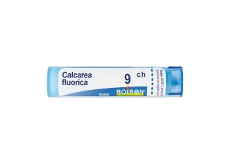 Calcarea fluorica*9ch 80gr 4g