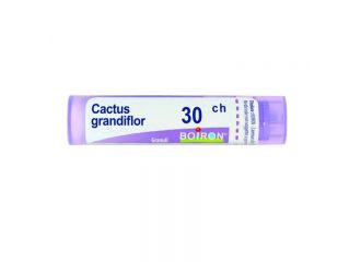 Cactus grandiflorus*30ch 80gr