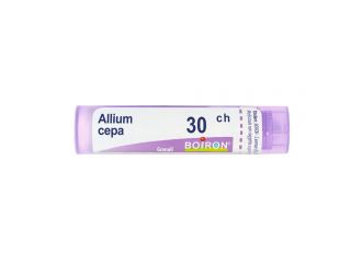 Allium cepa*30ch 80gr 4g