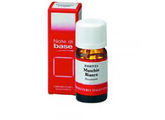 Muschio bianco essenza 10ml