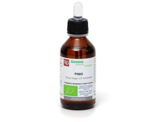 Pino mg bio 100ml ftm