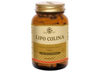 Solgar lipo colina integratore alimentare 100 capsule 93g