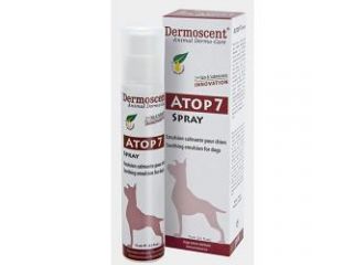 Atop 7 spray cane 75ml