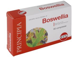 Boswellia es.sec 60cpr 24g kos