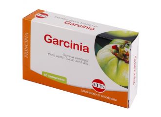 Garcinia estr sec 60cpr 25,2g