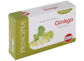 Ginkgo biloba estr sec 60cpr