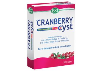 Cranberry cyst 30 ov.      esi