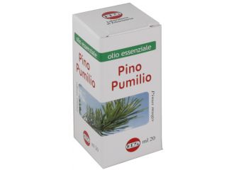 Pino pumilio olio essenziale 20 ml