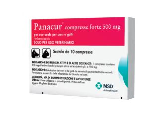 Panacur-10 cpr 500 mg vet