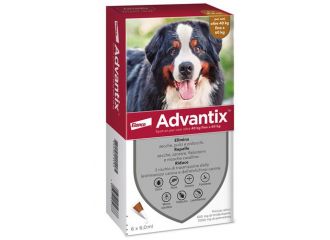 Advantix spot on*6pip 40-60kg