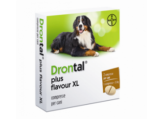 Drontal plus flavour xl*2cpr