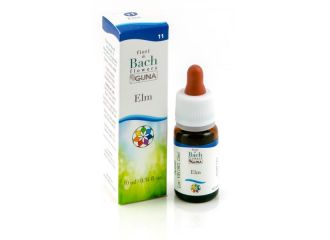 Elm 11 gtt 10ml bach guna