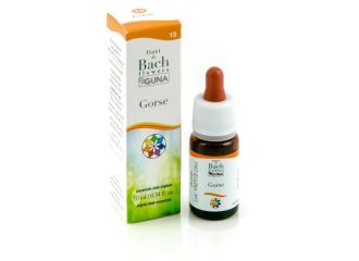 Gorse 13 10ml gtt bach guna