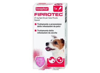 Fiprotec*1pip 2-10kg cani