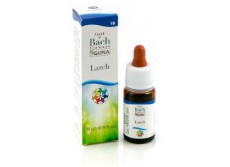 Larch 19 10ml gtt bach guna