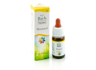 Mustard 21 10ml gtt bach guna