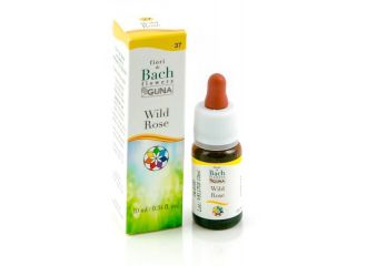 Wild rose 37 gtt 10ml bach guna