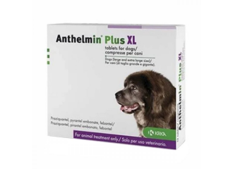 Anthelmin Plus Xl 2compresse Vet