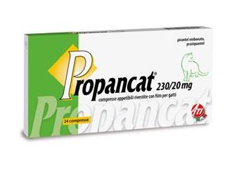 Propancat*24cpr gatto