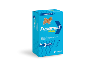 FYPERMID COMBO SPOT-ON CF. (3 PIPETTE) CANE 2-10 KG     TEMPORANEAMENTE MANCANTE DALL'AZIENDA PRODUTTRICE