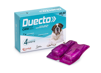 Duecto*4pip 40-60kg cani