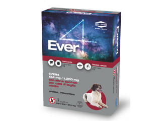 Ever 4*4pip 2,20ml 134+1200mg