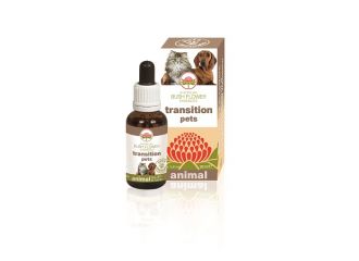 Transition pets 30ml