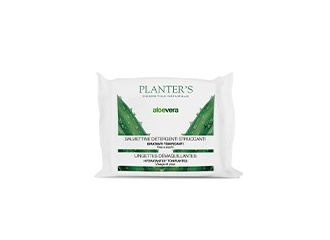 Planters salv.strucc.aloe